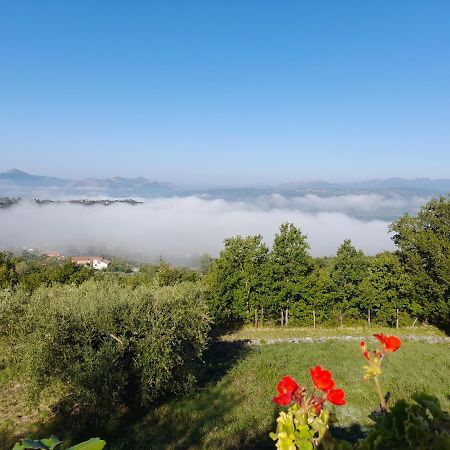 Casa Annella Bed and Breakfast Melizzano Buitenkant foto
